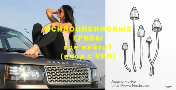 тгк Богданович
