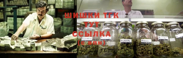 молекула духа Богородск