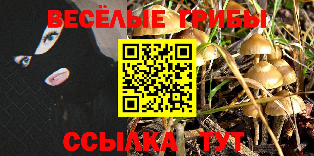 Галлюциногенные грибы мицелий  Псилоцибиновые грибы мицелий  Вход с VPN  Валуйки 